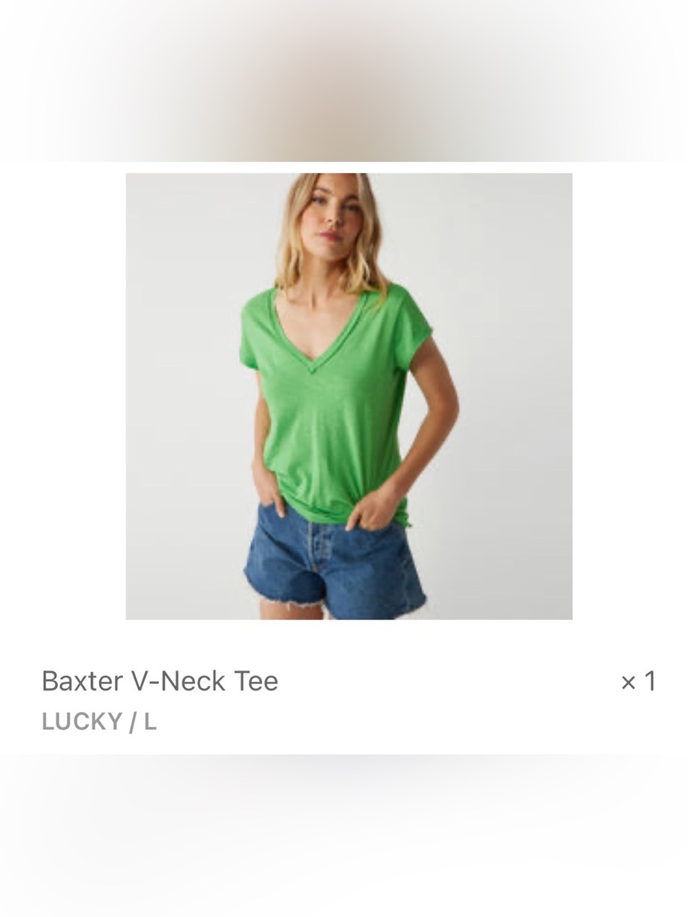 Michael Stars Baxter V-Neck Tee in Lucky Colorway